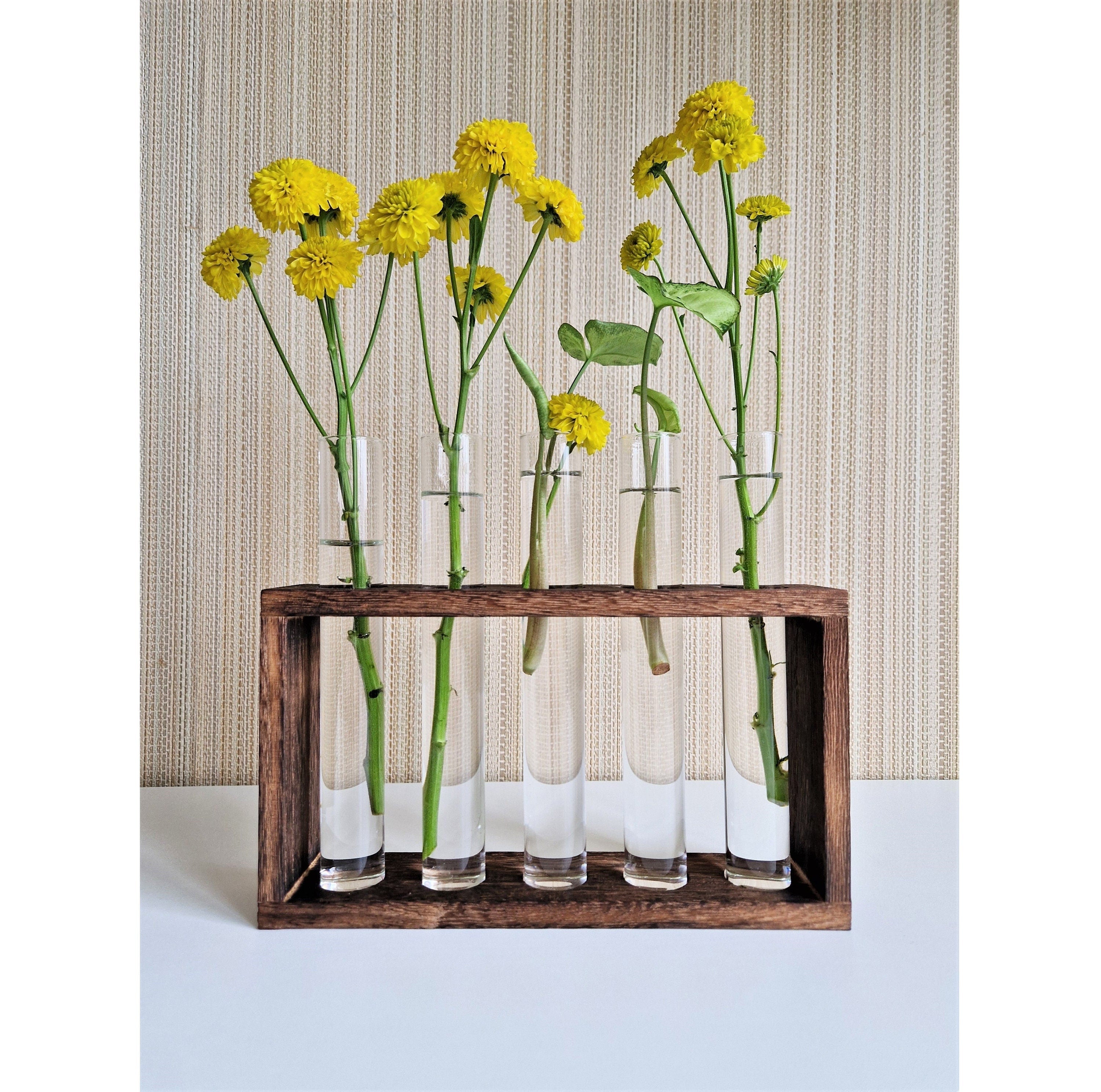 Wooden Propagation Station with Glass Vase, Hydroponic Vase, Tube Flower Vase, Plant Cuttings Bud Vase, Wooden Plant Stand, Shipped from USA